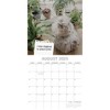 The Gifted Stationery 2025 Square Wall Calendar, Cat Shaming, 16-Month Humor Theme with 180 Reminder Stickers (12 x 12 In) - 3 of 4