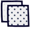 Bacati - Stars Pink/Aqua Ikat Muslin 2 pc Security Blankets - 3 of 4