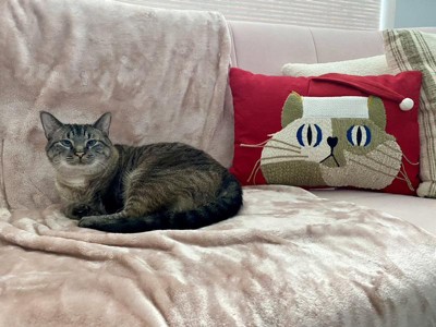 Santa/Good Cat Velvet Picture Pillow 