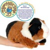 Gianni The Guinea Pig - 8 Inch Stuffed Animal Plush - By Viahart - image 3 of 4