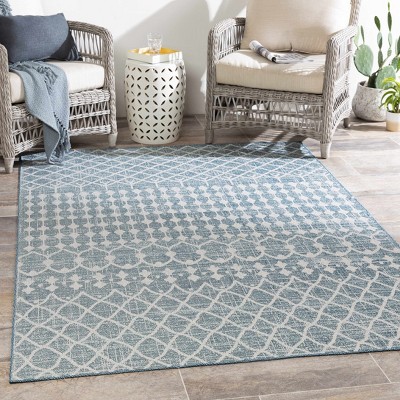 Hauteloom Blue Ivory Summit Indoor & Outdoor Rug