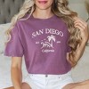 Simply Sage Market Women's Embroidered San Diego Short Sleeve Garment Dyed Tee - 2 of 3