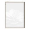 Kate and Laurel Blake Lavender Succulent Framed Printed Glass by Emiko and Mark Franzen of F2Images, 18x24, Natural - 4 of 4