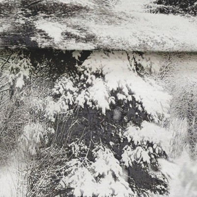 winterland