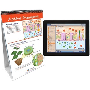 NewPath Learning Osmosis & Diffusion Flip Chart & Online Multimedia Lesson, Grades 6 through 10 - 1 of 4