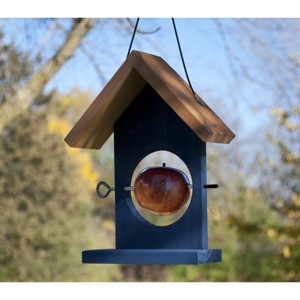 Woodlink Blue Wood Fruit Oriole Bird Feeders - 1 of 1