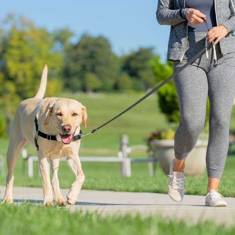 PetSafe Easy Walk Adjustable Dog Harness, 5 of 11