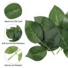 Unique Bargains Silk Cloth Plastic Wrinkle-Resistant Long-Lasting Artificial Plants 80 Pcs - image 4 of 4