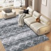 Machine Washable Rugs 8x10 Large Area Rug Lightweight Non Slip Contemporary Abstract Floor Cover Non-Shedding Foldable Geometric Carpets - 3 of 4