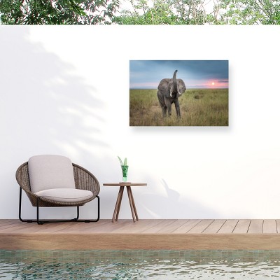 Trademark Fine Art - Jeffrey C. Sink King of the domain Matted Framed Art