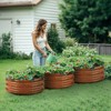VEVOR 3 Pcs 2x2x1ft Galvanized Raised Garden Bed Kit, Outdoor Metal Round Raised Beds For Gardening Vegetables, Brown - 2 of 4