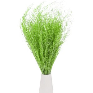 Unique Bargains Natural Home Decor DIY Design Flower Arrangement 1 Pc - 1 of 4