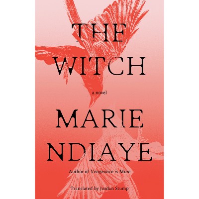 The Witch - by  Marie Ndiaye (Paperback)