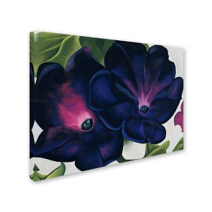 Trademark Fine Art - Georgia O'Keefe Black and Purple Petunias Matted Framed Art - 1 of 3