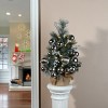 National Tree Company 2 ft. Frosted Silver Pine Tree with Battery Operated LED Lights - 2 of 4