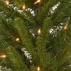 2ct 4' Prelit Lehigh Valley Pine Artificial Christmas Entrance Trees Clear Lights - National Tree Company - 3 of 4