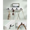SONGMICS Set of 2 Coat Racks Wall Mount, Coat Hooks Wall Mounted, 8 Double Metal Hooks for Bags, Hats, Towels, Each Loads up to 35.3 lb - 3 of 4