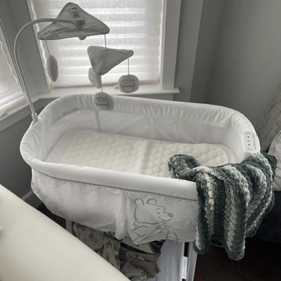 Delta winnie the outlet pooh bassinet