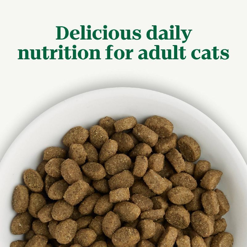 Nutro Wholesome Essentials Salmon &#38; Brown Rice Recipe Adult Premium Dry Cat Food - 5lbs, 3 of 14