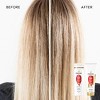 PANTENE PRO-V Radiant Color Shine Shampoo, 27.7oz/820mL - 4 of 4