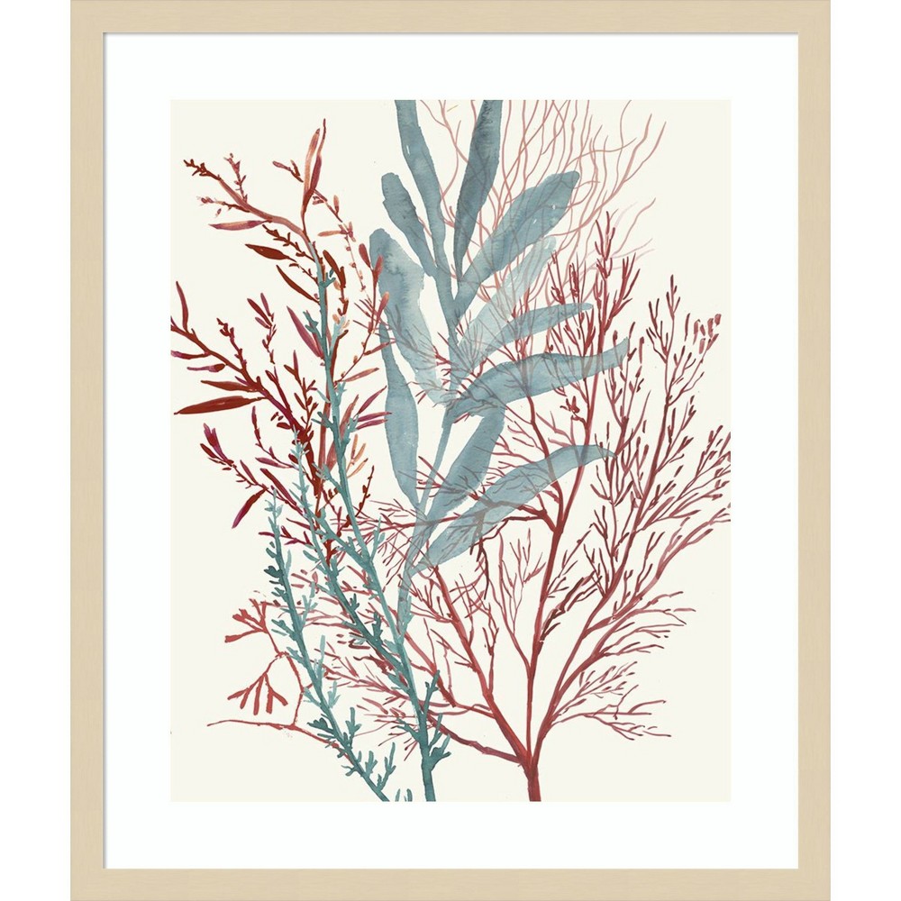 Amanti Art Seaweed Swirls II by Aimee Wilson Wood Framed Wall Art Print