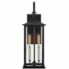 Lark Nolan 2 - Light Wall Light in  Black - 2 of 4