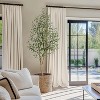 Olive Trees Artificial Indoor,Faux Silk Plant - Fake Potted Tree with White Planter with Natural Wood Trunk and Lifelike Fruits for Home Office Decor - 4 of 4