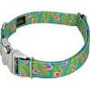 Country Brook Petz Premium Flamingos Dog Collar - 4 of 4
