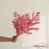 Uniquewise Preserved Real Floral Stems Chic Vase Fillers & Accents for Bouquets Centerpieces - 4 of 4