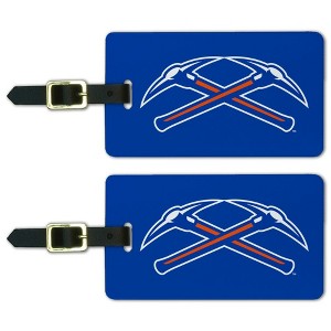 University of Wisconsin  Platteville Primary Logo Luggage ID Tags Suitcase CarryOn Cards  Set of 2 - 1 of 4