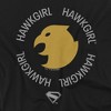 Toddler Boys' Superman 2025 Hawkgirl Icon T Shirt - 2 of 4