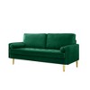Maliang 65" Lovesat Velvet Sofa - 2 of 4