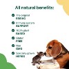 ESSIAC for Pets | Immune System Support Supplement for Dogs & Cats | Original Herbal Formula in Vegan Gluten-Free Capsules, 60ct - 3 of 4