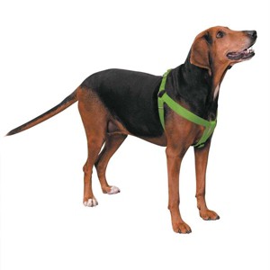 Casual Canine Nylon 2 Step Harness 25-40In Green - 1 of 1