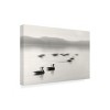 Trademark Fine Art - Nicholas Bell Geese on Melton Lake Canvas Art - 4 of 4
