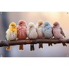 Trends International Reinders: Animals - Pastel Birds Unframed Wall Poster Print Clear Push Pins Bundle 14.725" x 22.375" - 4 of 4