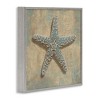 Stupell Industries Starfish Beach Objects Design, 24" x 24" - 3 of 4