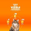 IAMS Proactive Health with Chicken Kitten Premium Dry Cat Food - 4 of 4