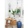 Beachcombers Turtles Wall Decor - 2 of 3