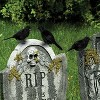 Joyfy 6 Pcs Black Crows Halloween Party Favors, Fake Bird Props for Haunted House Cemetery Yard Table, Tree Wall Window Indoor Outdoor Decor Supplies - 2 of 4