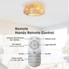 20" Gold Farmhouse Cage Ceiling Fans with Light and Remote Flush Mount Ceiling Fans for Kitchen Hallway - 2 of 4