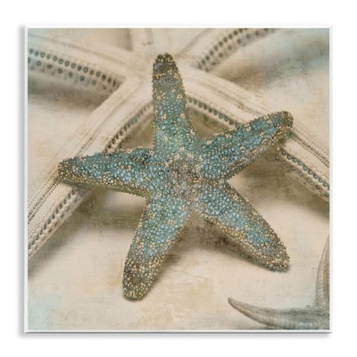 Stupell Industries Distressed Texture Starfish, 12" x 12"