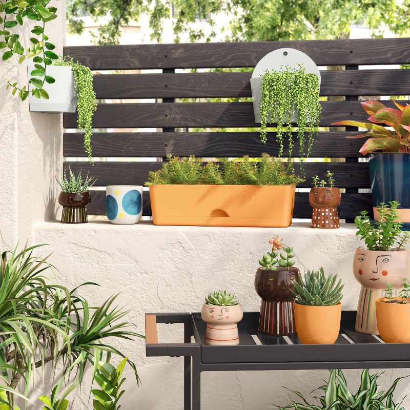  2pc Self-Watering Wall Half-Circle Indoor Outdoor Planter Pots 8"x4.75" - Room Essentials™, 2 of 9