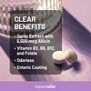 NatureWise Garlic Extract 5,500 mcg Allicin Supplement - Healthy Cholesterol & Blood Pressure Formula + Vitamins B & C - Gluten-Free - 4 of 4