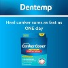 Dentemp Canker Cover Medicated Oral Pain Reliever, Cool Mint Tablets, 4 Count - 3 of 4
