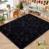 4x6ft Soft Fluffy Area Rug, Non-Slip Shaggy Carpet for Bedroom Living Room, Cozy Plush Floor Rug for Home Decor - 3 of 4