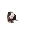 BARK Sniffin Booty Sniffwreck Dog Interactive Toy - 4 of 4