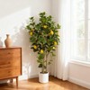Artificial Lemon Tree, 5ft Tall Floor Faux Lemon Plastic Plant in Black Pot, Fake Lemon Fruit Silk Tree for Indoor Home Decor Office Living Room - 4 of 4