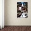 Trademark Fine Art -David Ayash 'Katerskill Fall' Canvas Art - 3 of 3