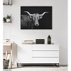 Kate & Laurel All Things Decor 28"x38" Sylvie Tudanca Cow Longhorn Bull Cattle Animal BW Framed Metallic Canvas Wall Art by Xyo - 3 of 4